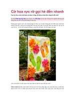 Cờ hoa rực rỡ gọi hè đến nhanh pdf