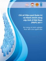 Chỉ số hiệu quả quản trị và hành chính công cấp tỉnh ở Việt Nam ( PAPI) 2011 doc