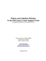 Policies and Guidelines Relating To the P30 Cancer Center Support Grant pdf