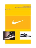 NIKE quản trị nguồn nhân lực - Đại học Duy Tân Đà Nẵng