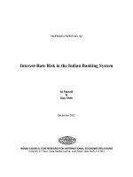 Interest-Rate Risk in the Indian Banking System docx