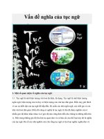 Vấn đề nghĩa của tục ngữ pdf