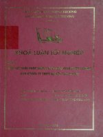 Một số giải pháp nâng cao hiệu quả kinh doanh của công ty Thiết bị vật tư du lịch