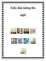 Giấy dán tường lên ngôi doc