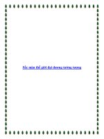 Sắc màu thế giới đại dương tưởng tượng pptx