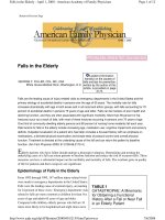 Falls in the Elderly potx