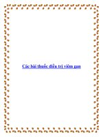 Các bài thuốc điều trị viêm gan pdf