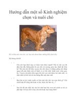 Hướng dẫn một số Kinh nghiệm chọn và nuôi chó potx