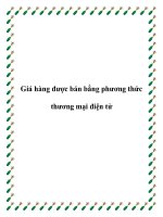 Giá hàng được bán bằng phương thức thương mại điện tử ppt