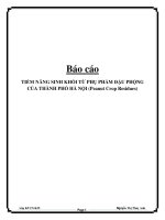 báo cáo tiềm năng sinh khối từ phụ phẩm đậu phộng của thành phố hà nội