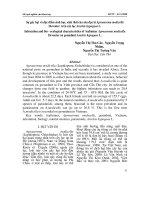 Sự gây hại và đặc điểm sinh học, sinh thái của sâu đục lá Aproaerema modicella Deventer trên cây lạc Arachis hypogaea pot
