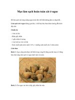 Mẹo làm sạch hoàn toàn cát ở ngao doc