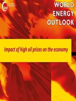 Impact of high oil prices on the economy potx