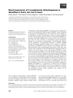 Báo cáo khoa học: Novel isoenzyme of 2-oxoglutarate dehydrogenase is identiﬁed in brain, but not in heart potx