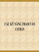 Bài 13B. CÁC KỸ NĂNG THAM VẤN - 042011 pot