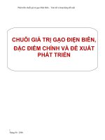 Tóm tắt và hoạt động đề xuất phát triển gạo điện biên potx