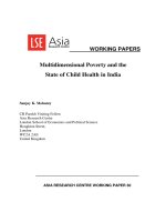 Multidimensional Poverty and the State of Child Health in India pdf