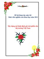 Đề tài: Xây dựng mô hình định giá trái phiếu cho thị trường Việt Nam docx