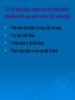 . Các biện pháp, chính sách tài chính nhằm khuyến khích sản xuất và thúc đẩy xuất khẩu doc