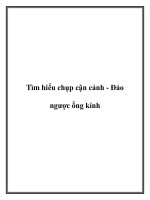 Tìm hiểu chụp cận cảnh - Đảo ngược ống kính. docx