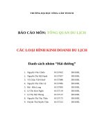 CÁC LOẠI HÌNH KINH DOANH DU LỊCH pptx