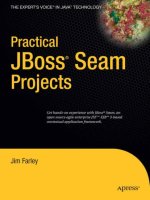practical jboss seam projects, 2007