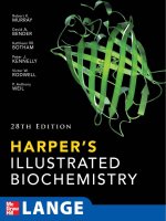 Harper’s Illustrated Biochemistry Twenty-Eighth Edition_1 ppt