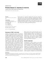 Báo cáo khoa học: Protein kinase Ce: function in neurons pot