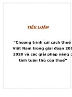 Tiểu luận “Chương trình cải cách thuế ở Việt Nam trong giai đoạn 2011-2020 và các giải pháp nâng cao tính tuân thủ của thuế” potx