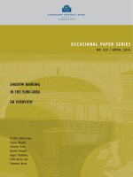 OccasiOnal Pa Per series nO 133 / aPril 2012: sHaDOW BanKinG in THe eUrO area an OVerVieW pptx
