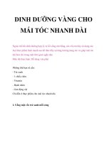DINH DƯỠNG VÀNG CHO MÁI TÓC NHANH DÀI pdf