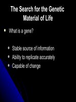 Molecular basis of heredity