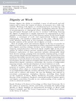 Dignity at Work by Randy Hodson Frontmatter doc