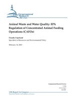Animal Waste and Water Quality: EPA Regulation of Concentrated Animal Feeding Operations (CAFOs) ppt