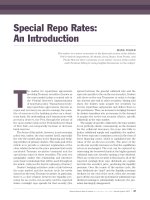 Special Repo Rates: An Introduction pot