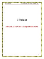 Tiểu luận: TỔNG QUAN VỀ VÀNG VÀ THỊ TRƯỜNG VÀNG ppt