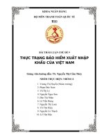 thực trạng bảo hiểm xuất nhập khẩu của việt nam