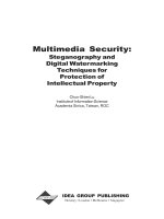 Multimedia Security:: Steganography and Digital Watermarking Techniques for Protection of Intellectual Property doc