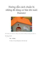 Hướng dẫn cách chuẩn bị những đồ dùng cơ bản khi nuôi Hamster pdf