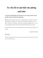 Tư vấn bố trí nội thất cho phòng cưới nhỏ pptx