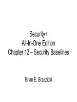 Chapter 12 – Security Baselines doc