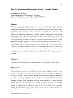 The Consumption of Counterfeit Goods: ‘Here be Pirates?’ pptx