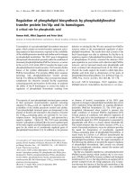 Báo cáo khoa học: Regulation of phospholipid biosynthesis by phosphatidylinositol transfer protein Sec14p and its homologues pot