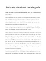 Bài thuốc chữa bệnh từ đường mía potx