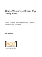 Database Oracle Warehouse Builder 11g: Getting Started pdf