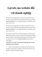 Lợi ích của website đối với doanh nghiệp ppt