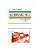 Chẩn đoán siêu âm đường mật pdf