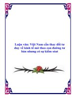 luận văn việt nam cần thay đổi tư duy về kinh tế mở theo con đường tư bản nhưng có sự kiểm sóat