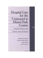 Hospital Care for the Uninsured in Miami-Dade County docx