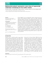 Báo cáo khoa học: Methanoferrodoxin represents a new class of superoxide reductase containing an iron–sulfur cluster docx